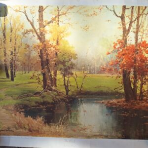 Pond in the woods PR