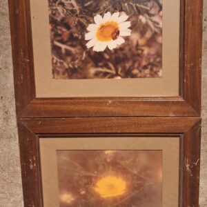 Flowers set of two PR